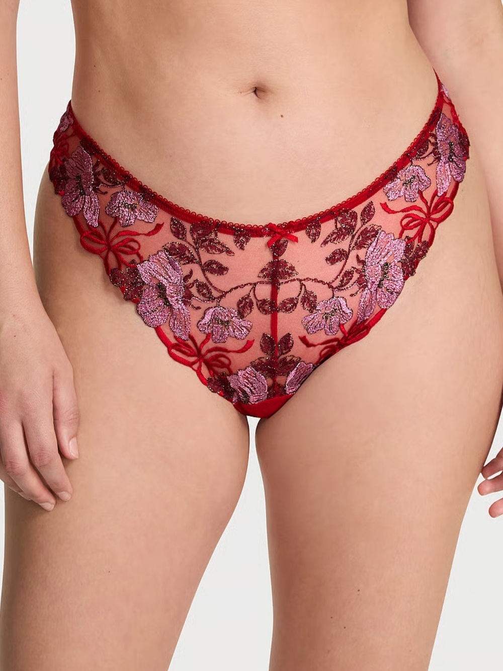 NWT Victoria's Secret Dream Angels High-Leg Brazilian Embroidered Panty L